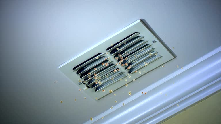 Best Emergency Air Duct Cleaning  in Hephzibah, GA