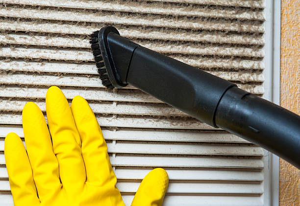Best Air Duct Mold Removal  in Hephzibah, GA